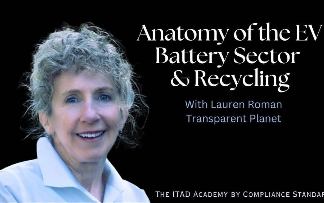 Anatomy of the electric vehicle battery sector and recycling: In-depth with Lauren Roman