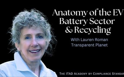 Anatomy of the electric vehicle battery sector and recycling: In-depth with Lauren Roman